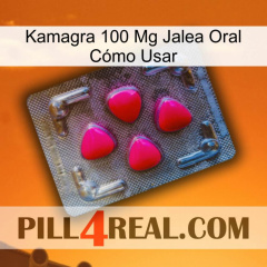 Kamagra 100 Mg Jalea Oral Cómo Usar 13